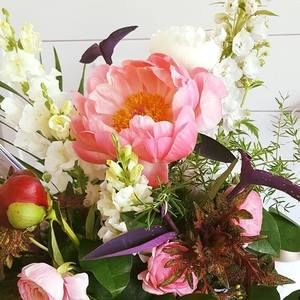 Meet your Posher, Rose